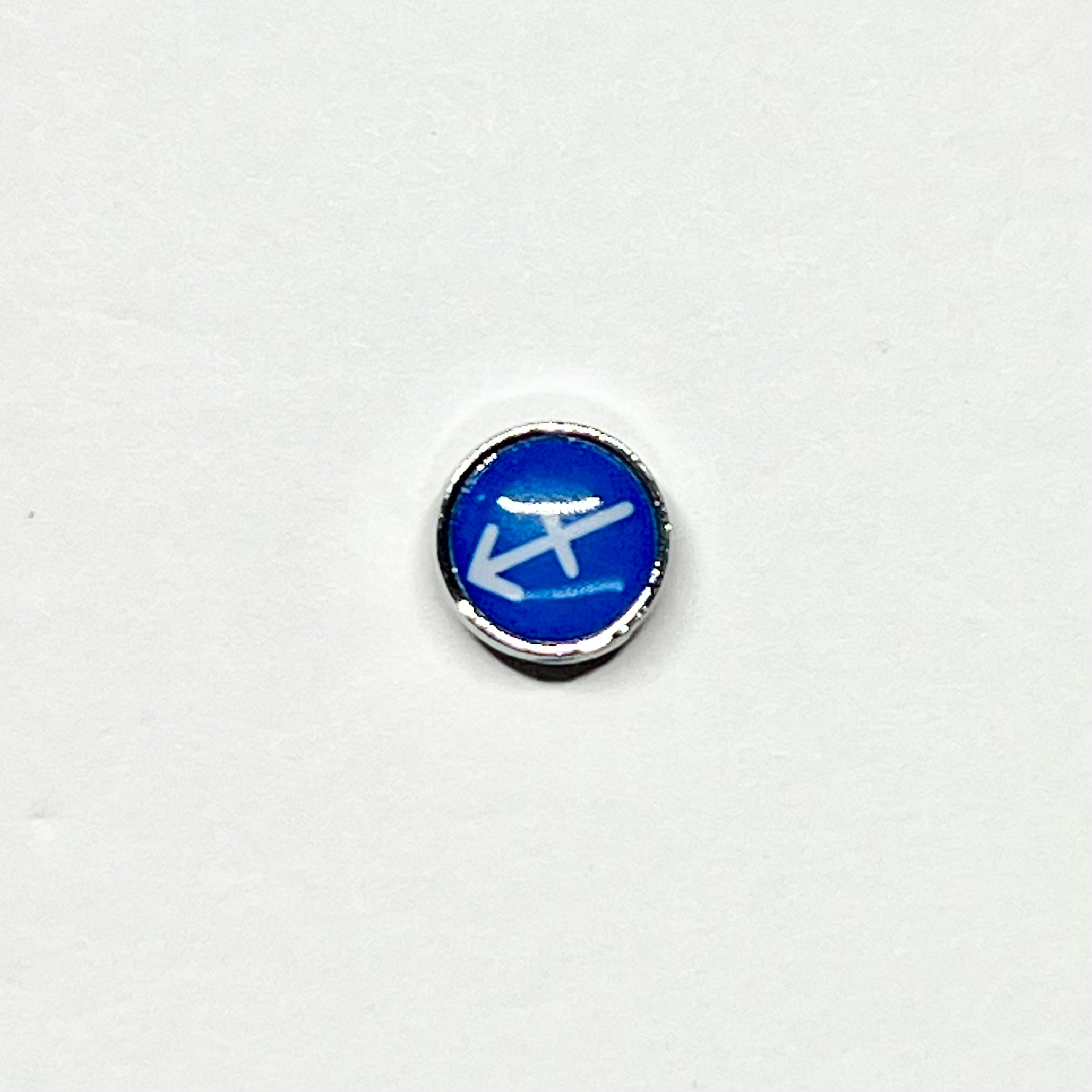 Zodiac keychain charms