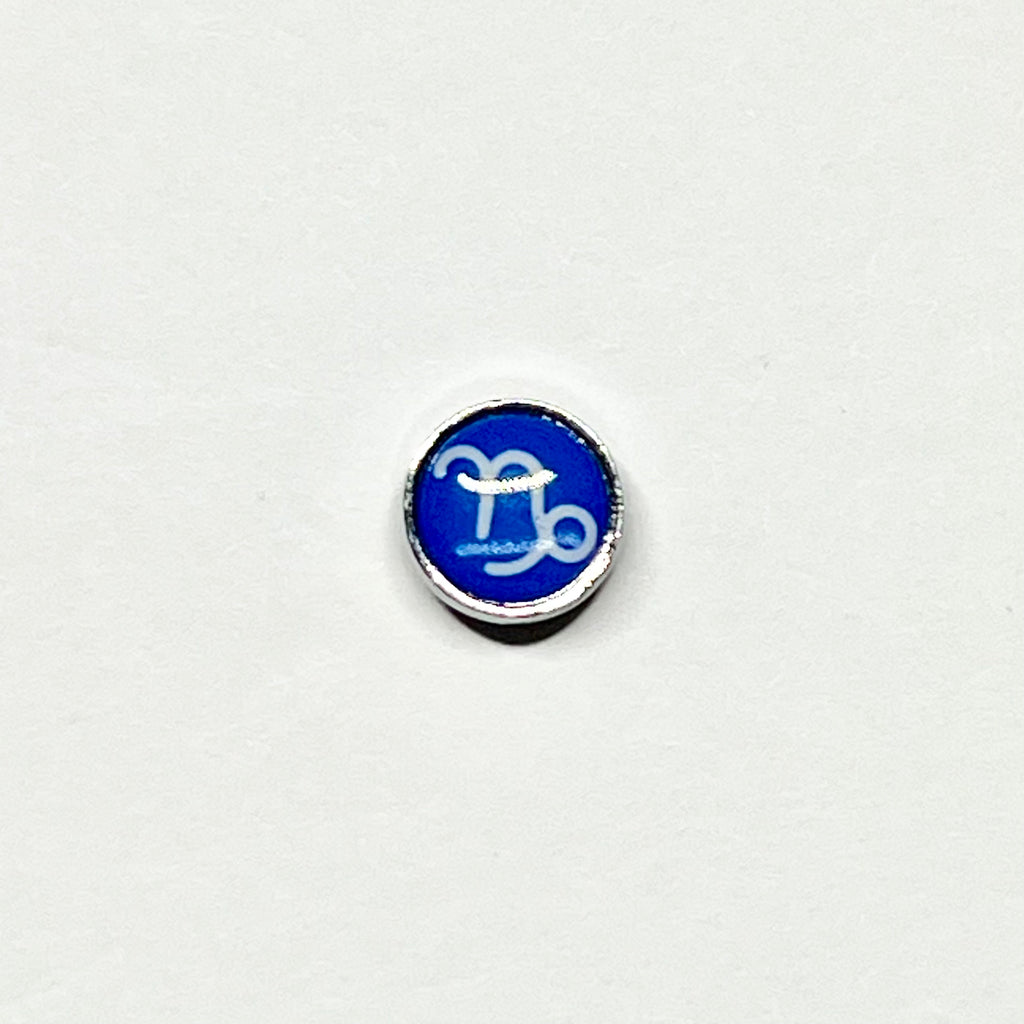 Zodiac keychain charms