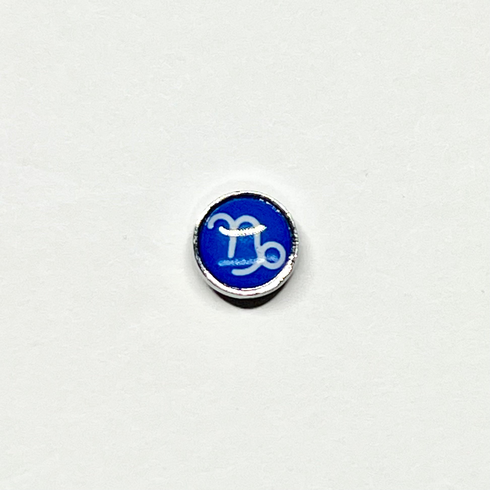 Zodiac keychain charms