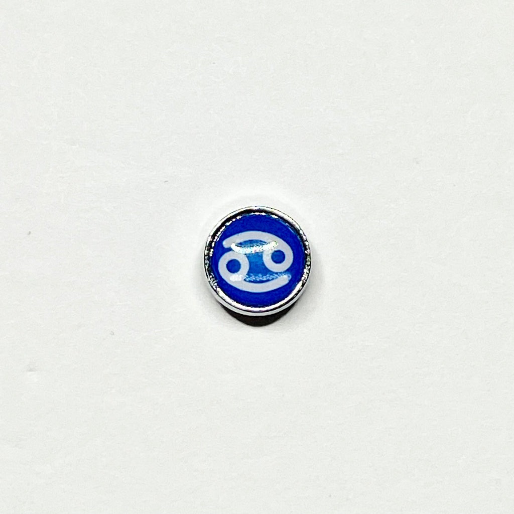 Zodiac keychain charms